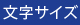 文字サイズ