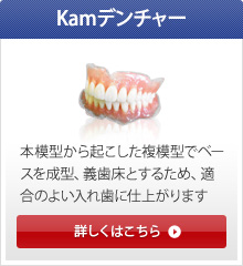 Kamデンチャー